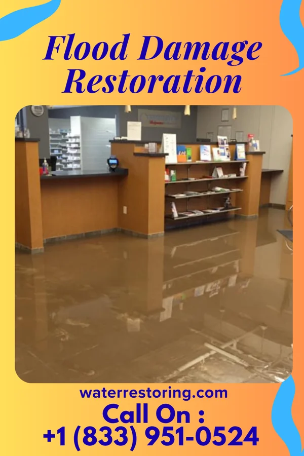 Flood Damage Restoration in Bellflower, MO