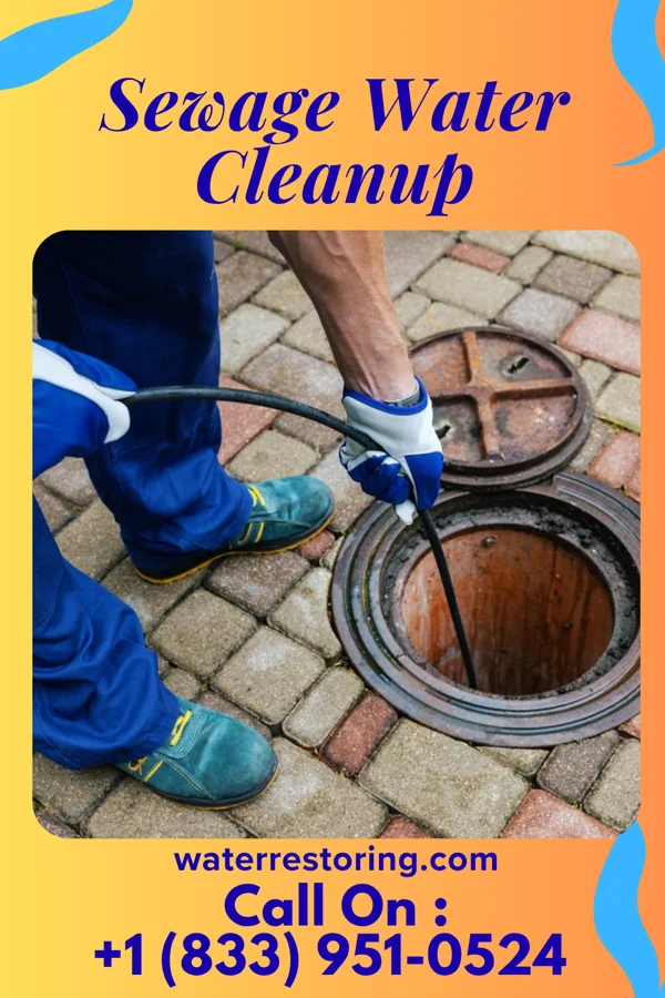 Sewage Water Cleanup in Bellflower, MO