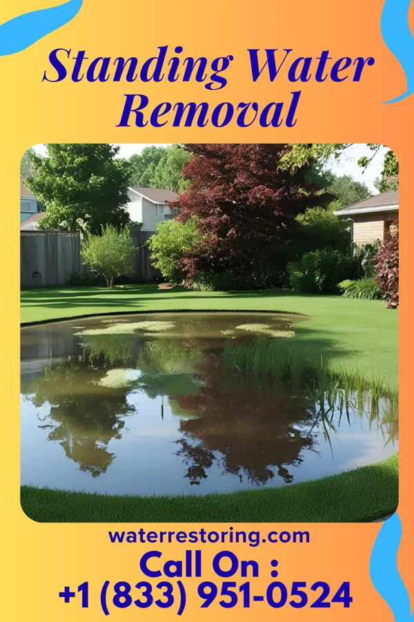 Standing Water Removal in Bellflower, MO